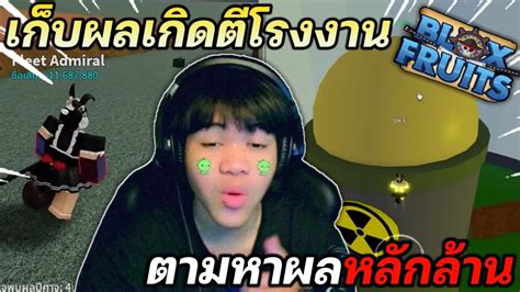 Blox Fruits เก็บผลเกิดตีโรงงาน ตามหาผลหลักล้าน จะได้กี่ผล Youtube