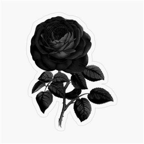 Aesthetic Black Rose Flower Sticker For Sale By Myfreakyworld