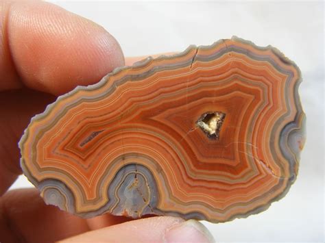 Cut And Polished Fairburn Agate From Pringle South Dakota