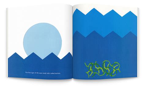 Evolution - Children's Book on Behance