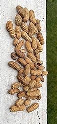 Amazon Hoody S In Shell Classic Roast Peanuts Unsalted 5 Lbs 1