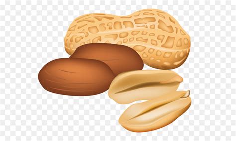 Peanut House Peanut Oil Clip Art Peanut PNG Transparent Images Png