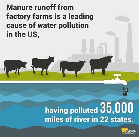 Manure runoff from factory runoff | Water pollution, Pollution, Then ...