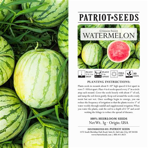 Heirloom Crimson Sweet Watermelon Seeds (3g) – Patriot Seeds