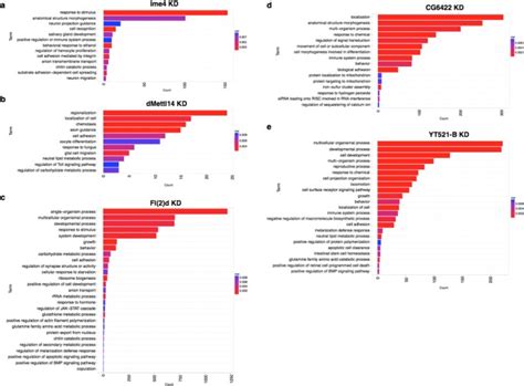 M6A Modulates Neuronal Functions And Sex Determination In Drosophila Nature
