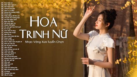 Hoa Trinh Nữ Mưa Đêm Ngoại Ô Nhạc Vàng Hải Ngoại Xưa Tuyển Chọn Nghe