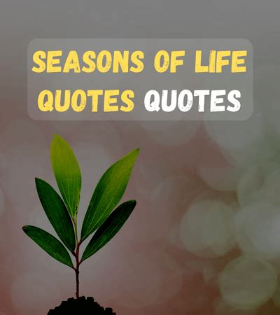 150+ Seasons of Life Quotes: Embracing Change & Growth - FactQuotes