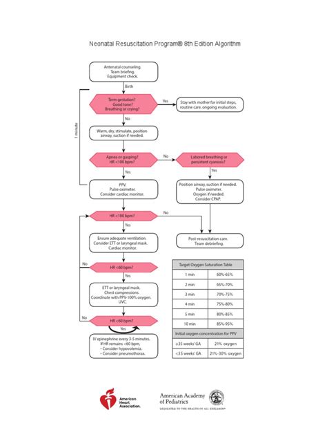 NRP 8th Ed Algorithm W Logos AHA AAP | PDF | Cardiopulmonary ...