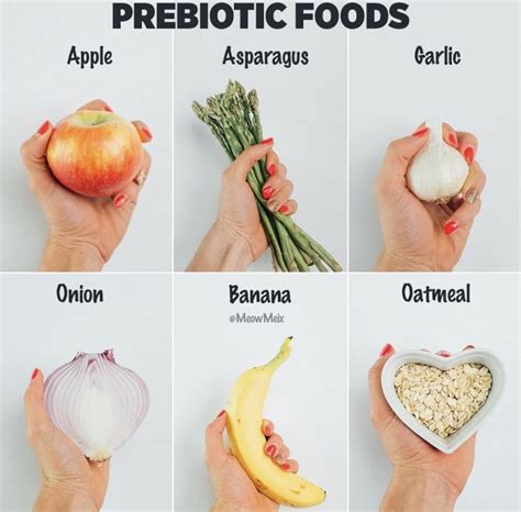 Eat More Prebiotic Foods For A Happier Healthier Gut Meowmeix