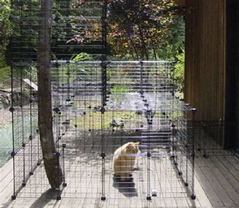 25 Best DIY Cat Enclosure Plans & Ideas ⋆ Bright Stuffs