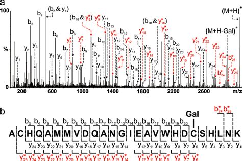 9 A Deconvoluted Ms Ms Spectrum Of A Glycosylated Tryptic Peptide 283 Download Scientific