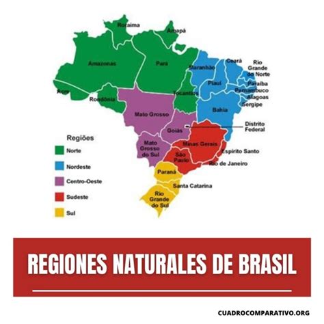 Cuadros Sin Pticos De Las Regiones Naturales De Brasil Cuadro