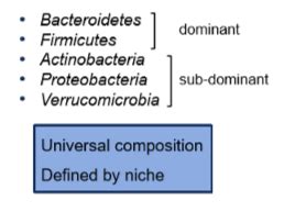 Gut Microbiota In Health And Disease Flashcards Quizlet