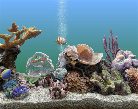 Dream aquarium screensaver v 1.234 full - recruitmentzoom