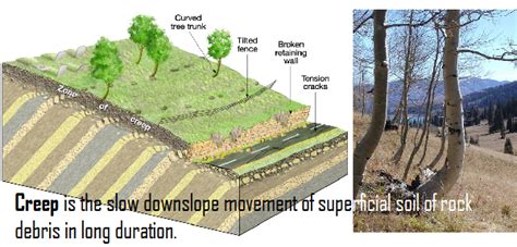 Pic Of The Day 197 Creep Mass Wasting Geology Concepts