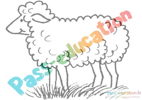 Coloriage mouton gratuit dessins à imprimer et colorier pour enfants