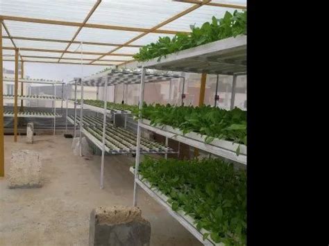 Hydroponics Systems - White Hydroponic Systems Manufacturer from Bengaluru