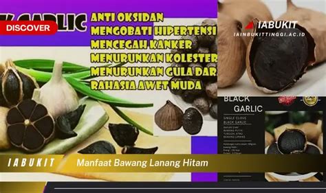 Ketahui Manfaat Bawang Lanang Hitam Yang Jarang Diketahui Bikin Kamu