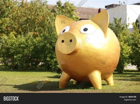 Golden Pig Image & Photo (Free Trial) | Bigstock