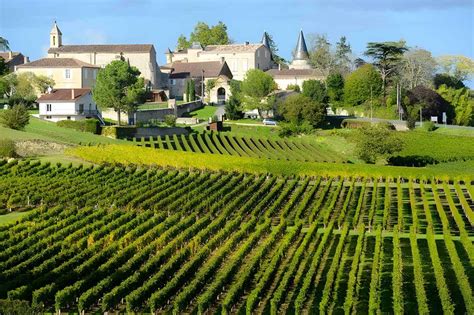 Bordeaux Wine Guide: History, Region, Made, Serve, Buying Tips