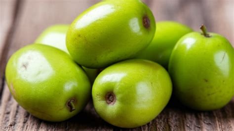 ketahui  manfaat buah bidara arab  kesehatan optimal  jurnal