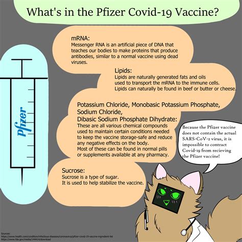 Industry insiders explain what berjole actually means for you 6