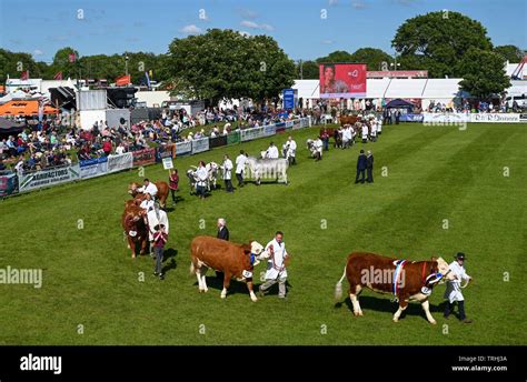 British britain farmer farmers hi-res stock photography and images - Alamy