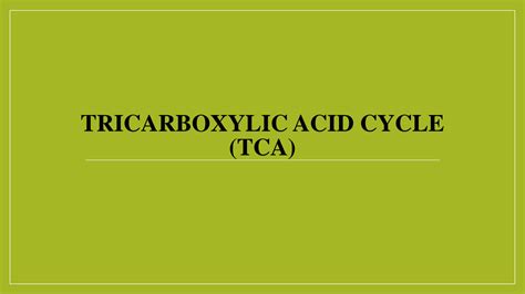 Solution Tricarboxylic Acid Cycle Kreb Cycle Tca Cycle Tca Cycle In