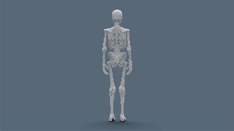 3d Model Voxel Skeleton Vr Ar Low Poly Cgtrader