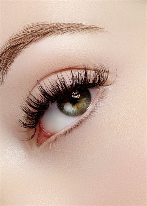 Beautiful Female Eye with Extreme Long Eyelashes, Black Liner Makeup. Perfect Make-up, Long ...