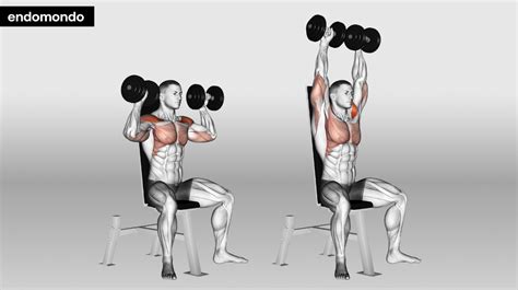 10 Overhead Press Alternatives Best Exercises To Try In 2025
