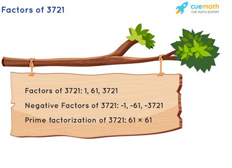 Factors Of Find Prime Factorization Factors Of