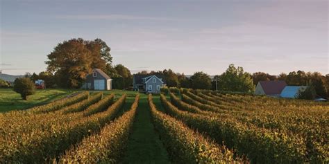 Annapolis Valley East Visit Nova Scotia Wineries