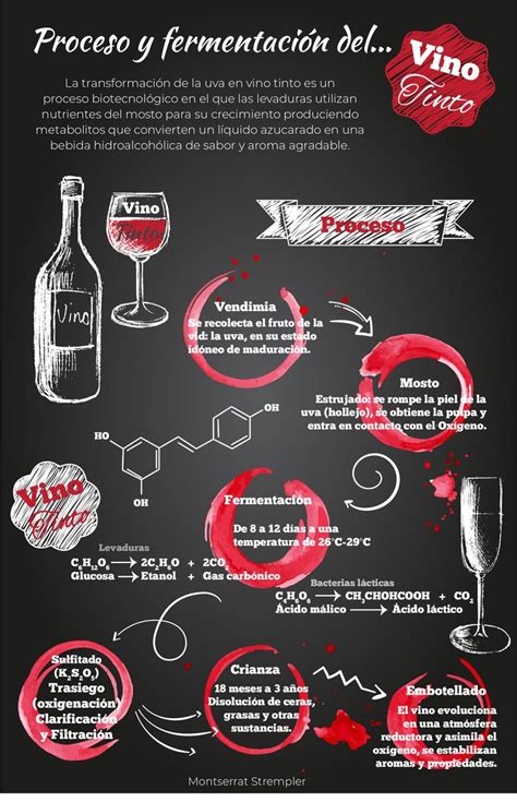 Proceso De Elaboraci N Del Vino Tinto M Strempler Elaboracion Del