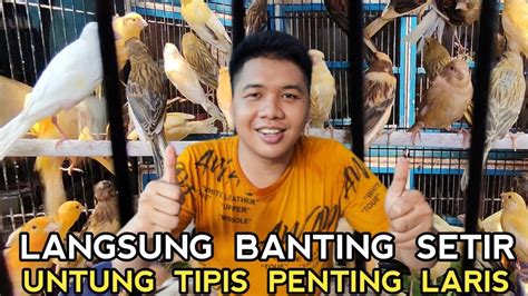 RUGI INI DIA PENJELASANYA LANGSUNG DARI KIOS SIGIT PASAR BURUNG