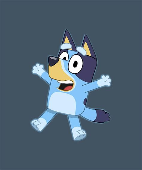 Bluey Cartoon Boy