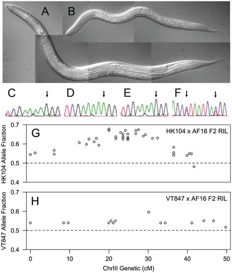 F Slow Growth Phenotype Is Linked To Chriii A B Dic Micrographs