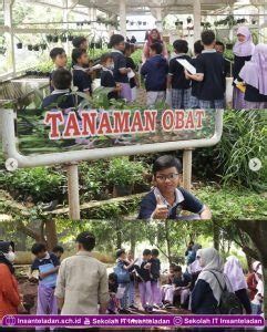 Field Trip SDIT Insan Teladan Semester 2 TA 2022 2023 Sekolah Islam