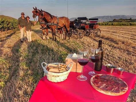 ENOTURISMO ECUESTRE Lardero Tutto quello che c è da sapere