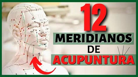 8 Beneficios De La Acupuntura Para La Salud Tuinfosalud Artofit