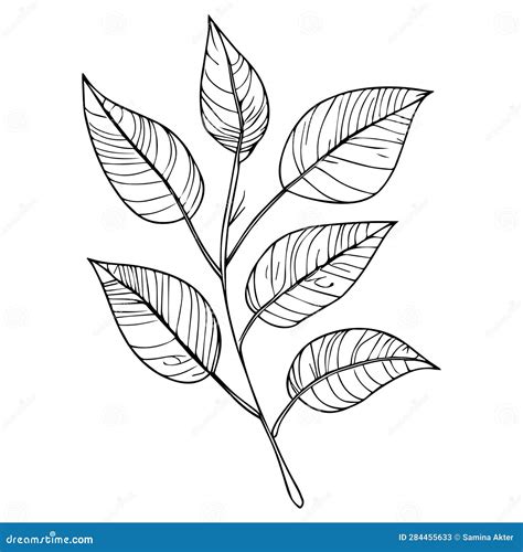 Minimalist Vintage Botanical Line Drawing, Hand-drawn Botanical Vectors