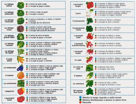 Calendario Semina Orto Guida Completa 2024 Calendario