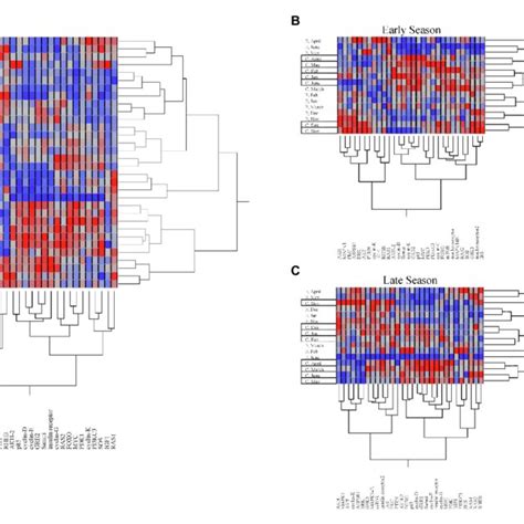 Two Way Cluster Analysis Of Gene Expression Showing A Between