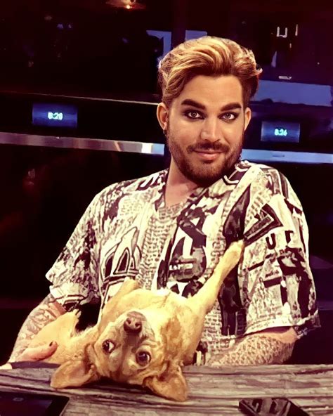 Пин от пользователя Maria на доске Adam Lambert