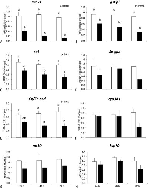 MRNA Levels Of Acox1 A Gst Pi B Cat C Se Gpx D Cu Zn Sod