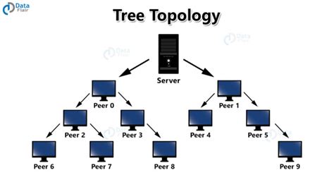 Basics Of Computer Network Evolution Topologies And Types Dataflair