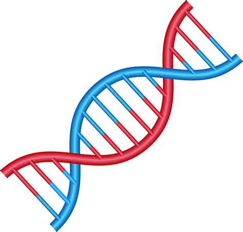 DNA and Genetic Studies Center | Genau Pathology Laboratories