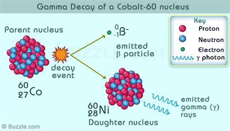 radioactive decay as a measure of age (lesson 0283) - TQA explorer