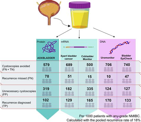 Diagnostic Accuracy Of Novel Urinary Biomarker Tests In Nonmuscle