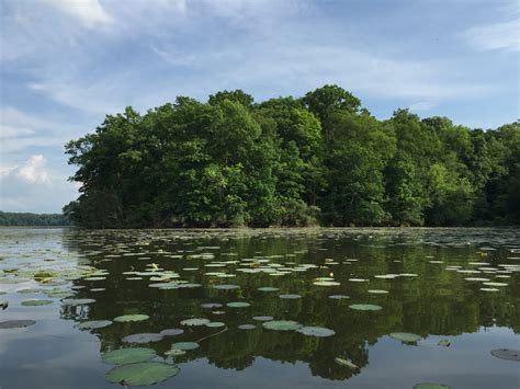 Kayaking Across Ohio: Piedmont Lake: Feels Like You Are Miles From ...